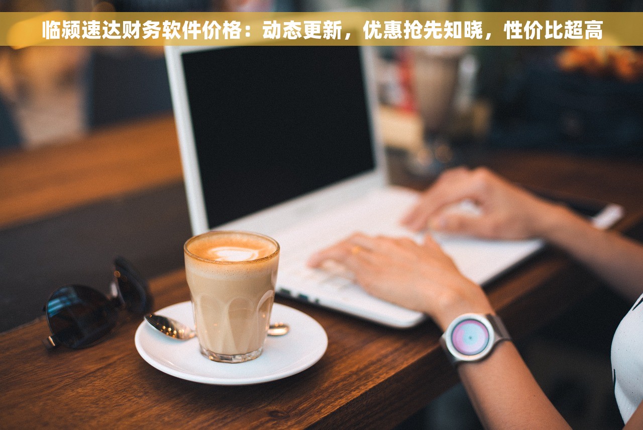 临颍速达财务软件价格：动态更新，优惠抢先知晓，性价比超高