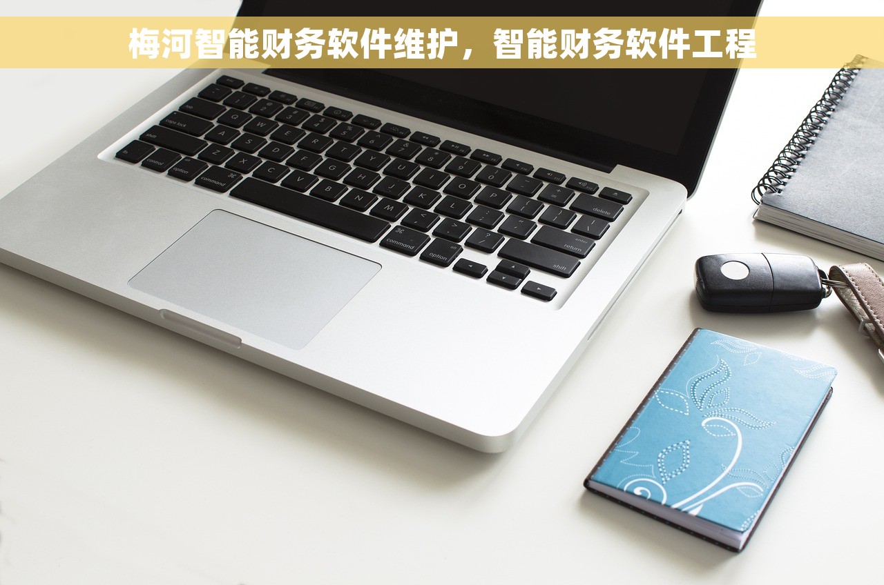 梅河智能财务软件维护，智能财务软件工程