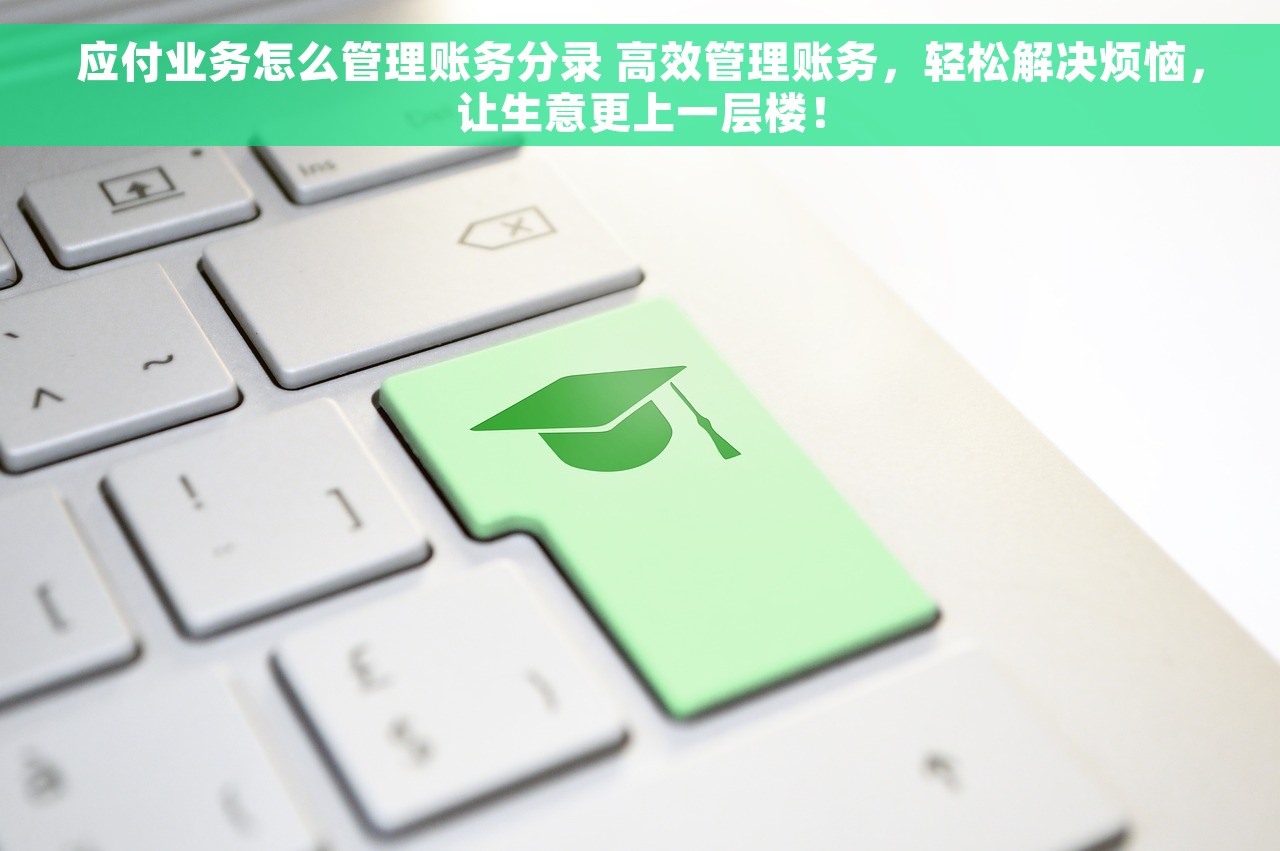 应付业务怎么管理账务分录 高效管理账务，轻松解决烦恼，让生意更上一层楼！