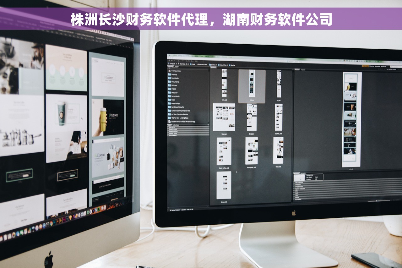 株洲长沙财务软件代理，湖南财务软件公司