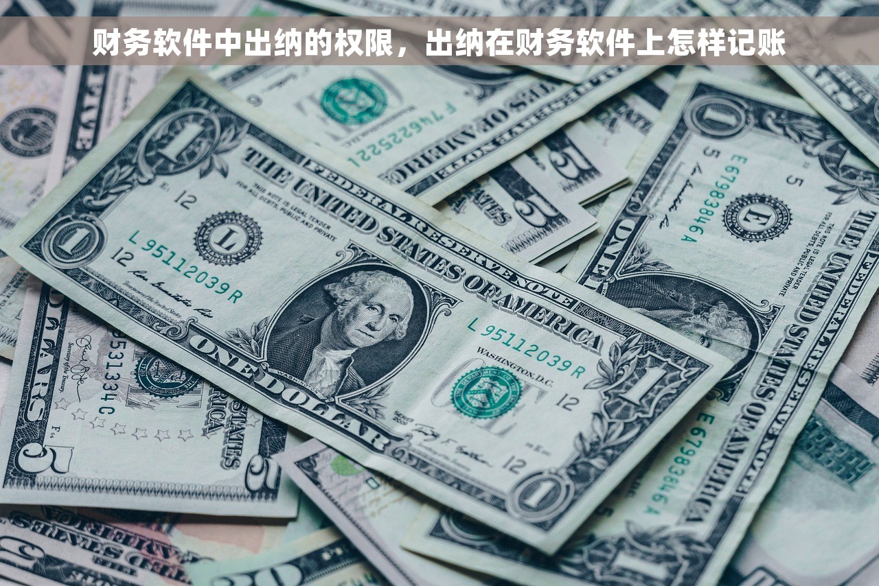 财务软件中出纳的权限，出纳在财务软件上怎样记账