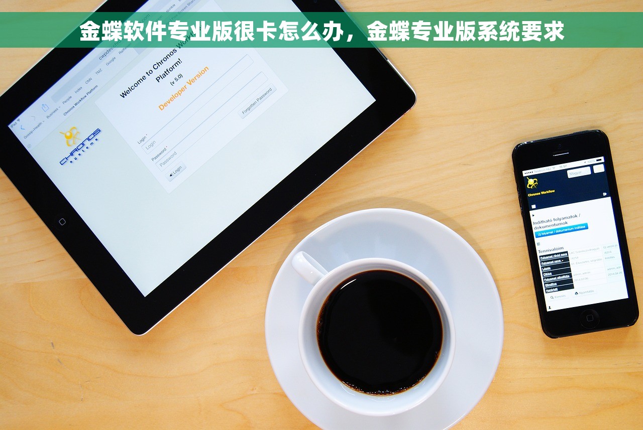 金蝶软件专业版很卡怎么办，金蝶专业版系统要求