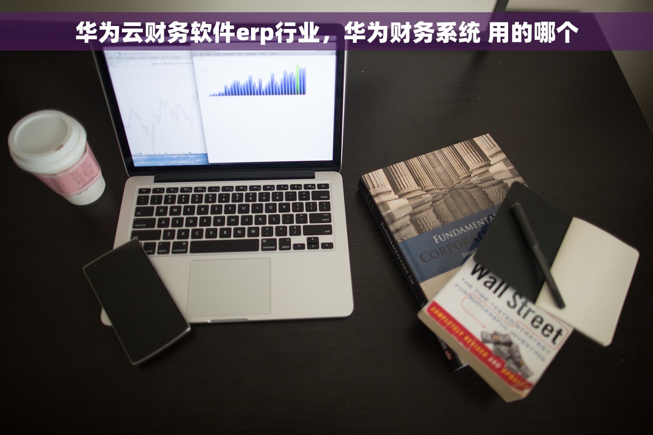 华为云财务软件erp行业，华为财务系统 用的哪个