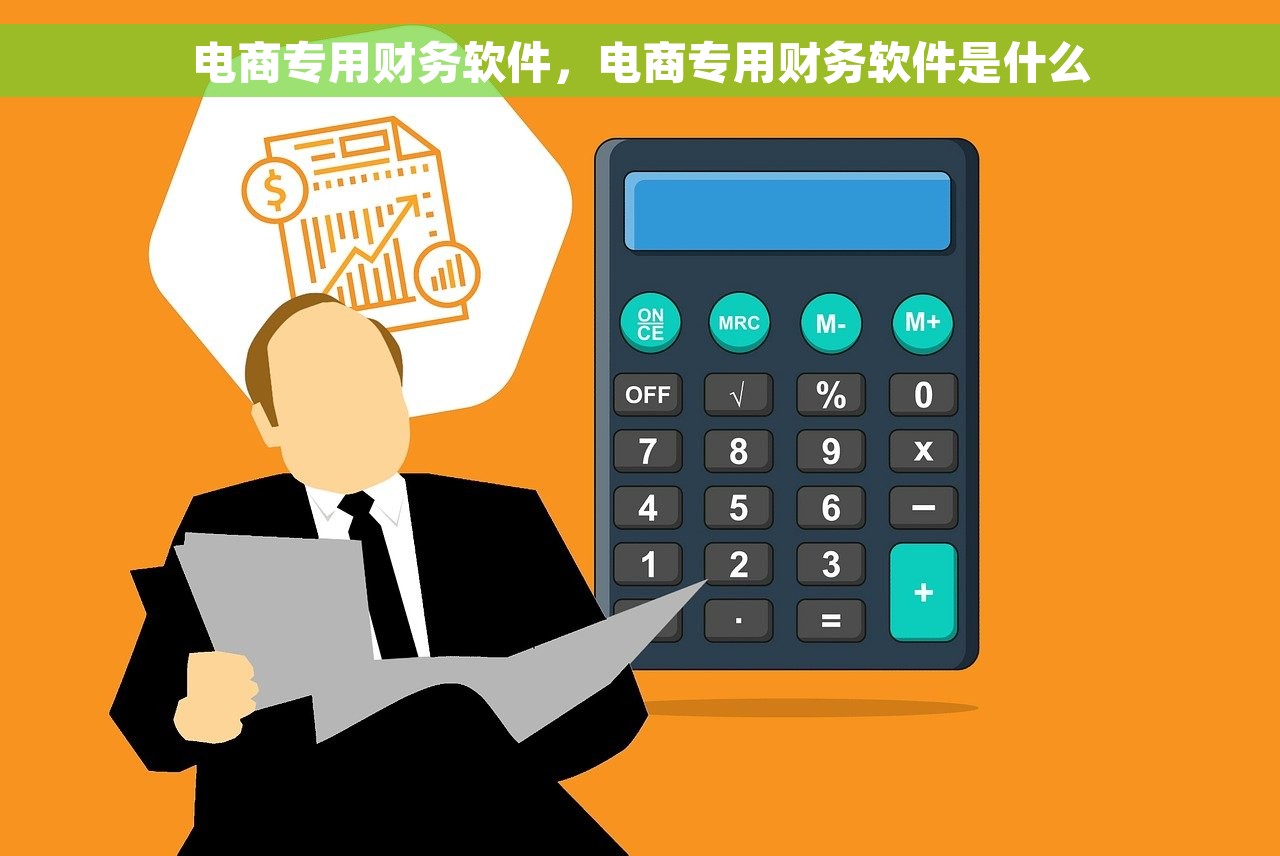 电商专用财务软件，电商专用财务软件是什么