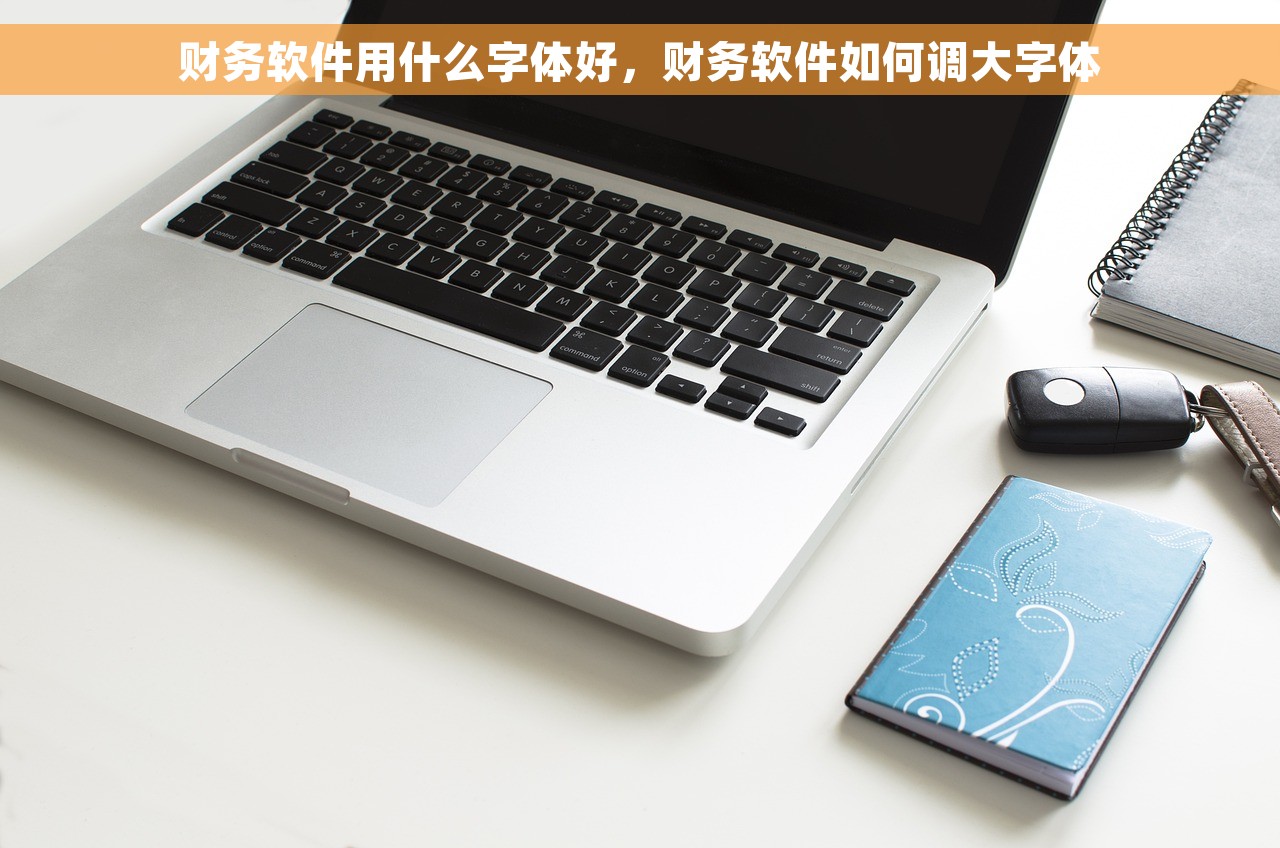 财务软件用什么字体好，财务软件如何调大字体