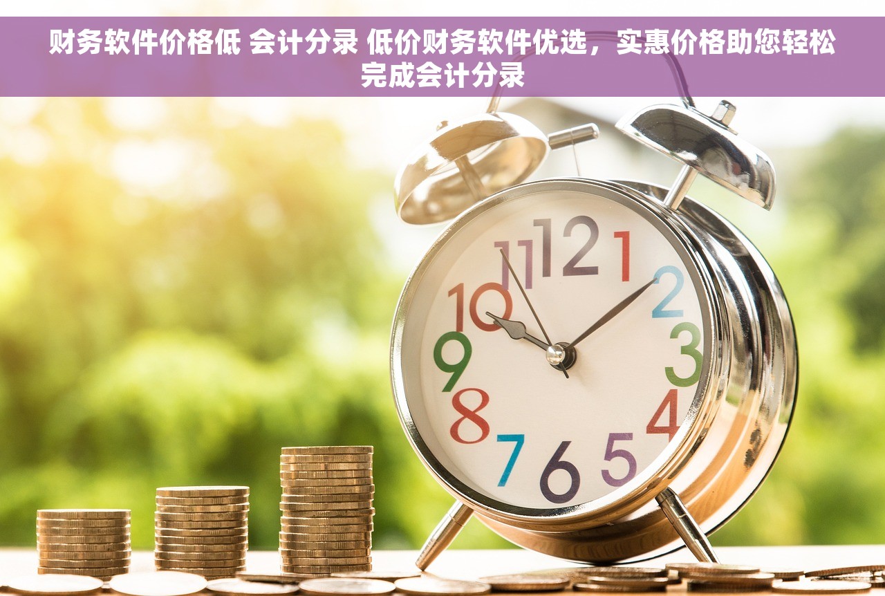 财务软件价格低 会计分录 低价财务软件优选，实惠价格助您轻松完成会计分录