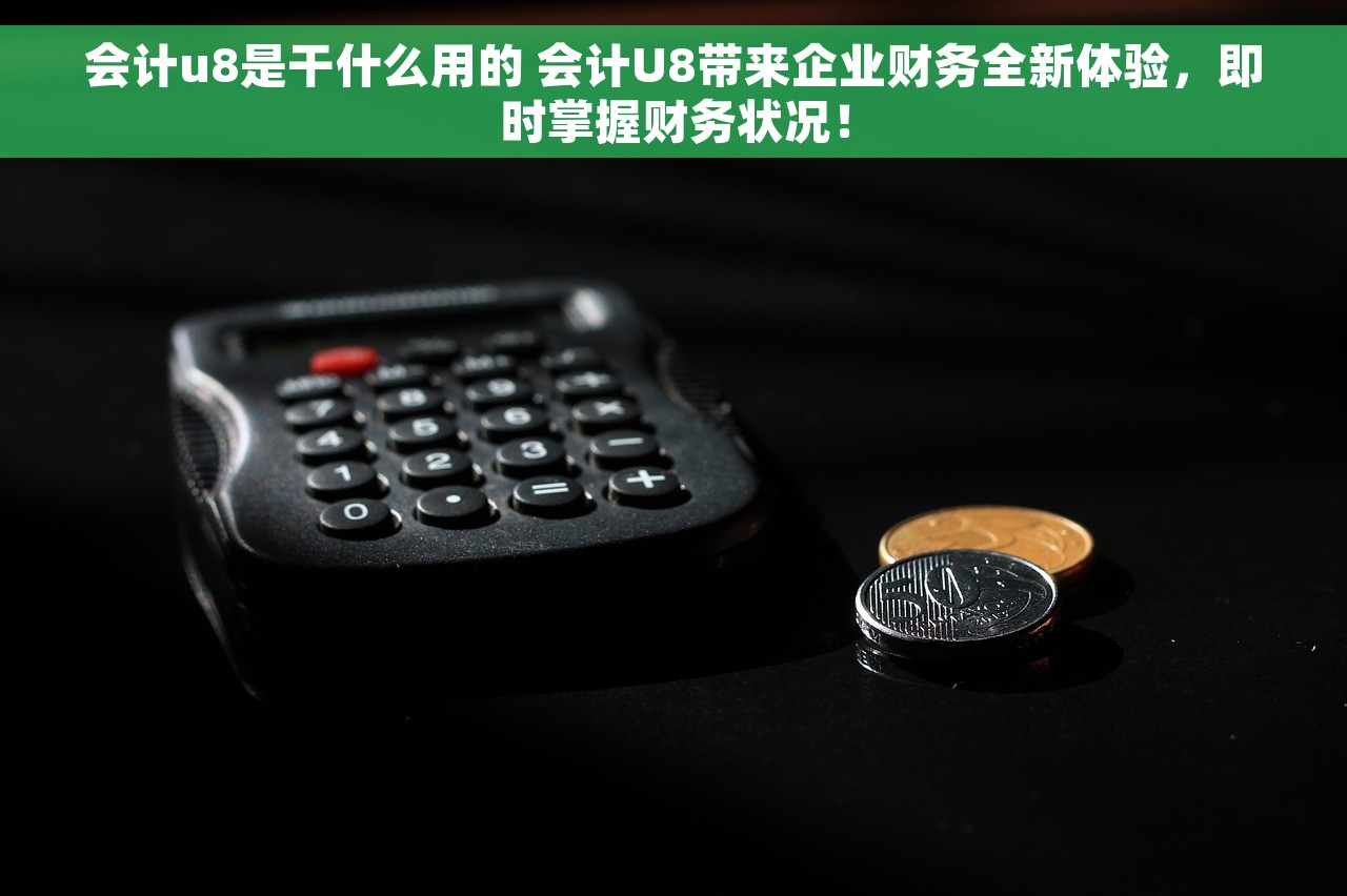 会计u8是干什么用的 会计U8带来企业财务全新体验，即时掌握财务状况！