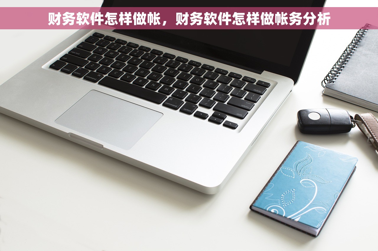 财务软件怎样做帐，财务软件怎样做帐务分析