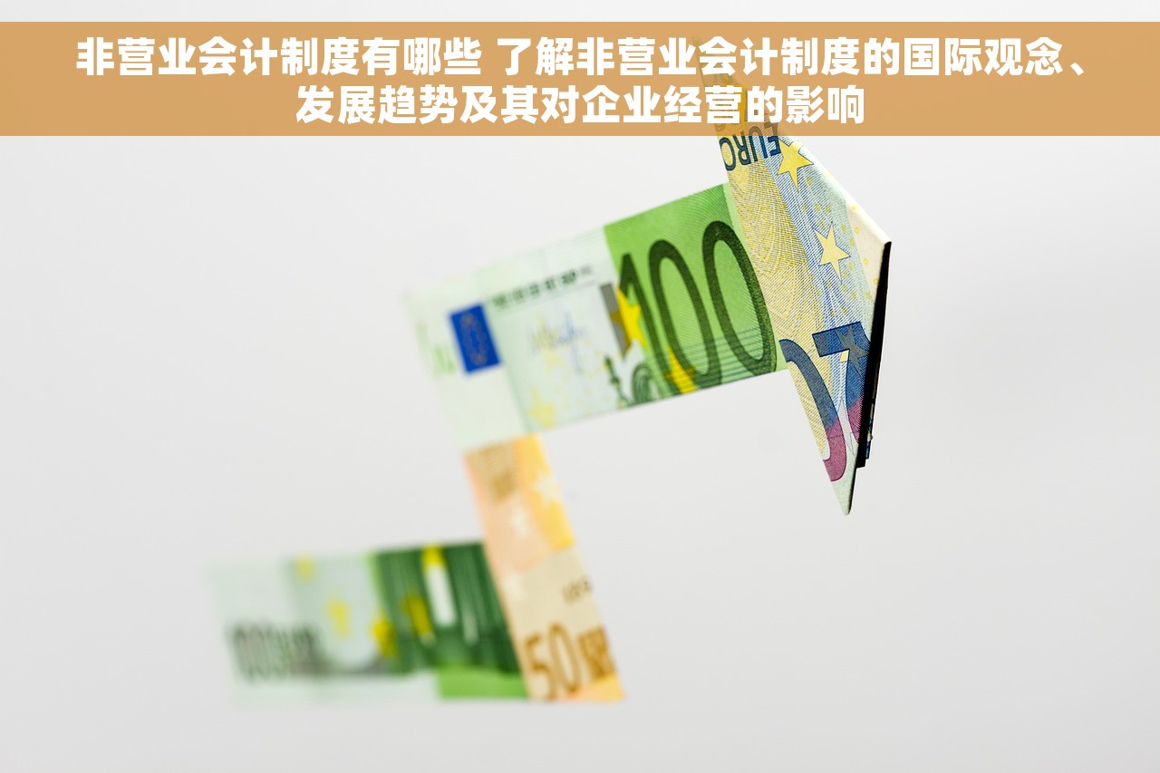 非营业会计制度有哪些 了解非营业会计制度的国际观念、发展趋势及其对企业经营的影响