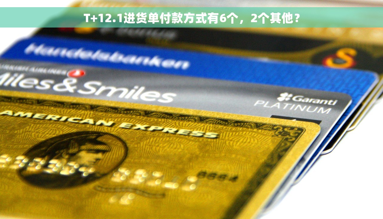 T+12.1进货单付款方式有6个，2个其他？