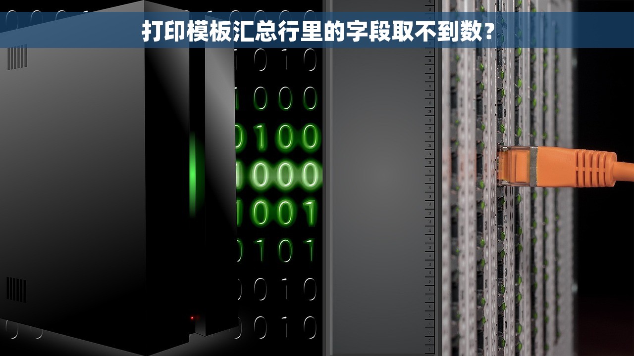 打印模板汇总行里的字段取不到数？