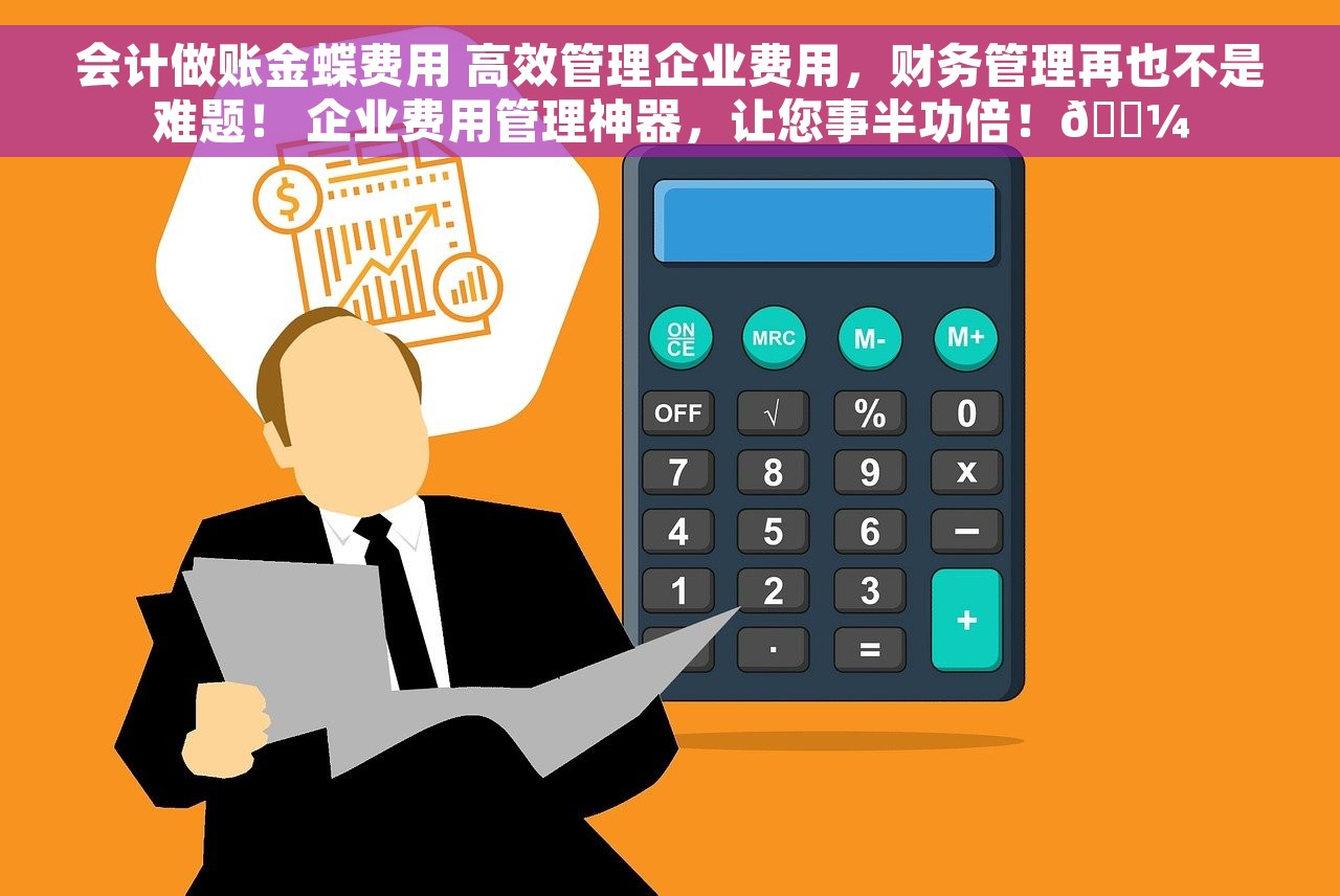高新财务软件的权限设置，高新财务要求