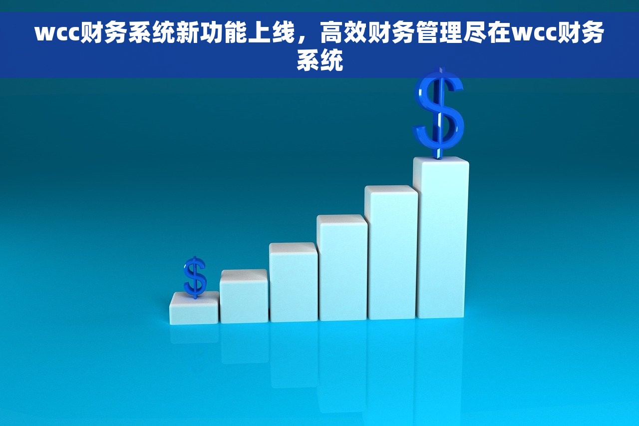 wcc财务系统新功能上线，高效财务管理尽在wcc财务系统