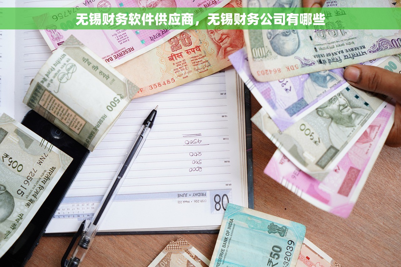 无锡财务软件供应商，无锡财务公司有哪些