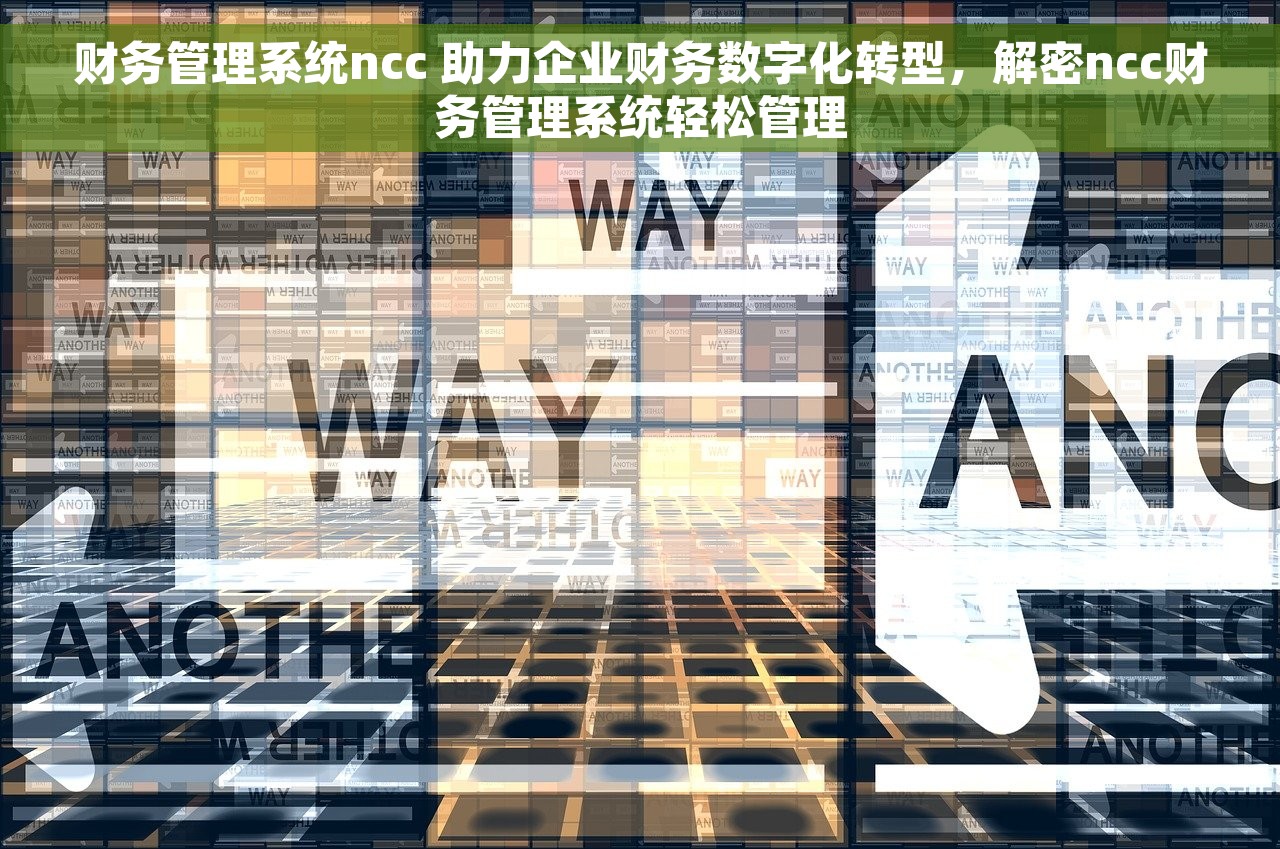 财务管理系统ncc 助力企业财务数字化转型，解密ncc财务管理系统轻松管理