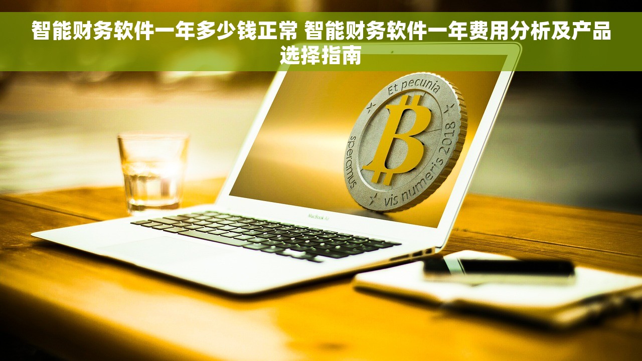 智能财务软件一年多少钱正常 智能财务软件一年费用分析及产品选择指南
