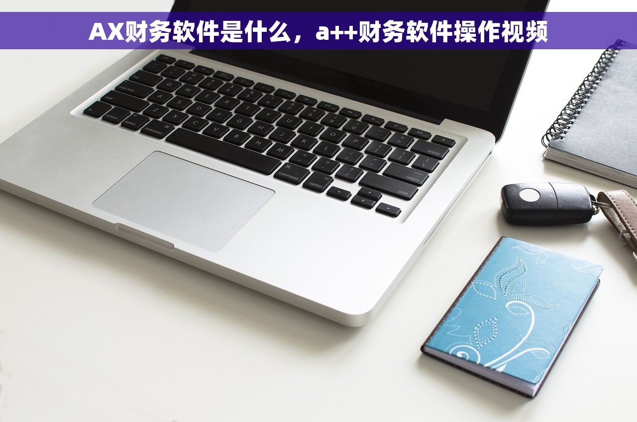 AX财务软件是什么，a++财务软件操作视频