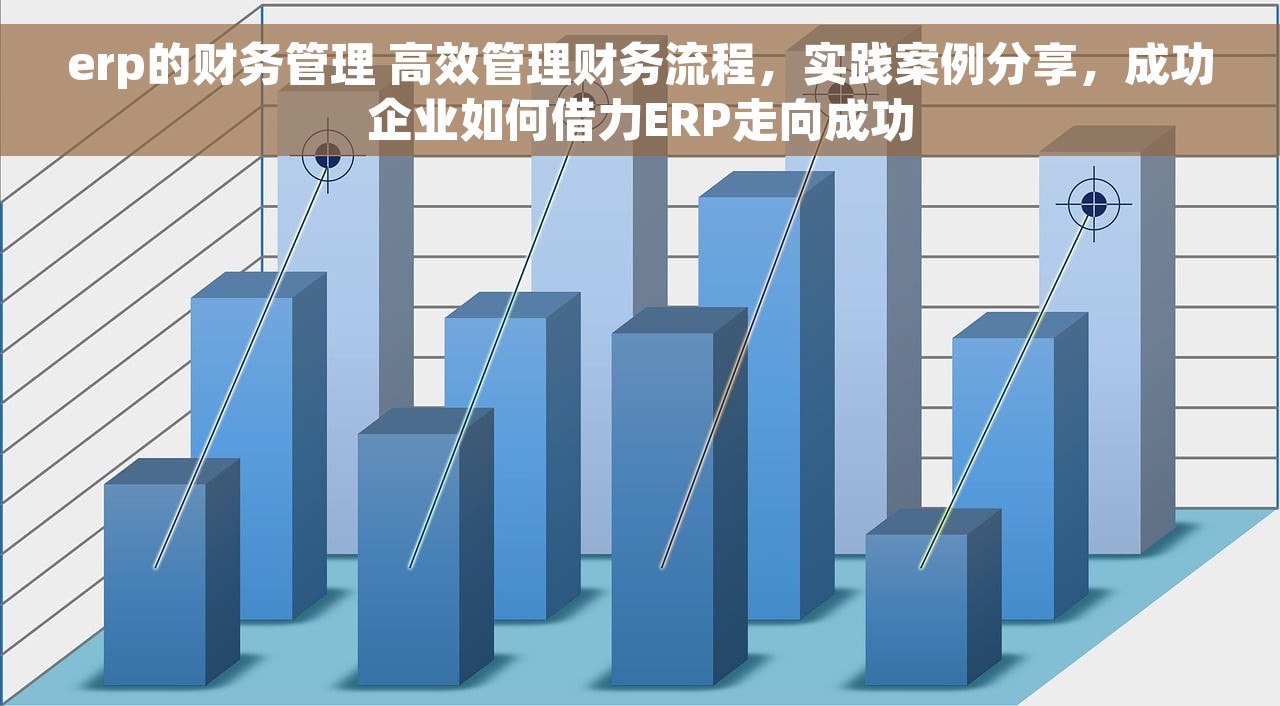 erp的财务管理 高效管理财务流程，实践案例分享，成功企业如何借力ERP走向成功