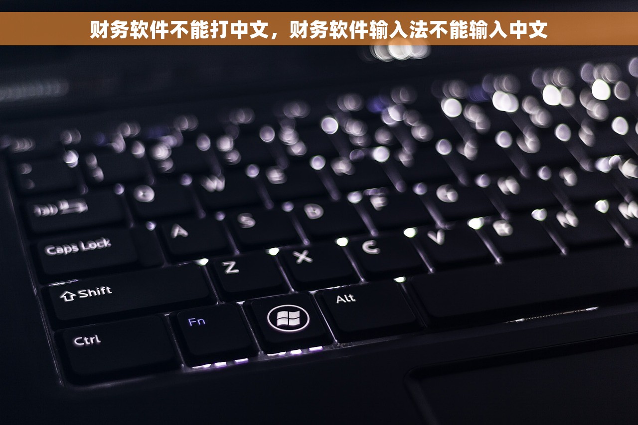 财务软件不能打中文，财务软件输入法不能输入中文