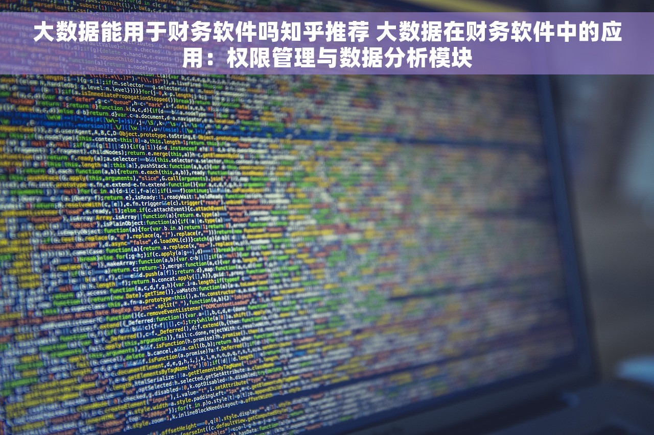 大数据能用于财务软件吗知乎推荐 大数据在财务软件中的应用：权限管理与数据分析模块