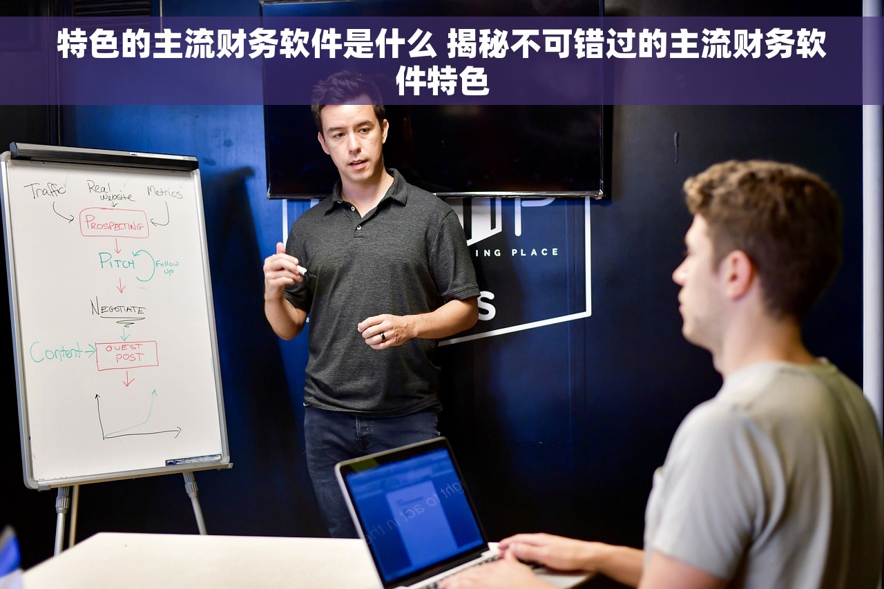 特色的主流财务软件是什么 揭秘不可错过的主流财务软件特色