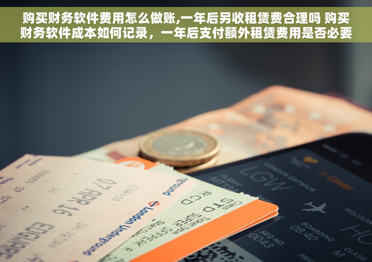 购买财务软件费用怎么做账,一年后另收租赁费合理吗 购买财务软件成本如何记录，一年后支付额外租赁费用是否必要？