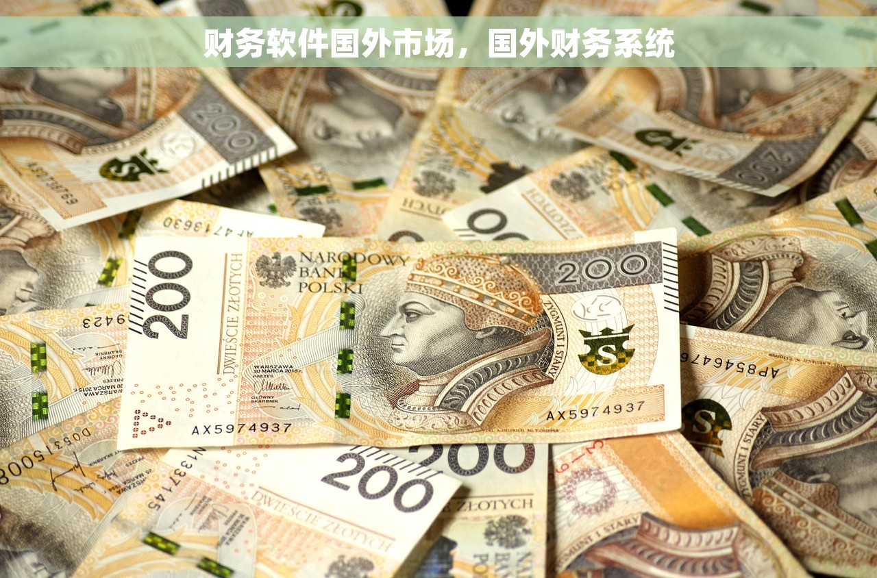 财务软件国外市场，国外财务系统