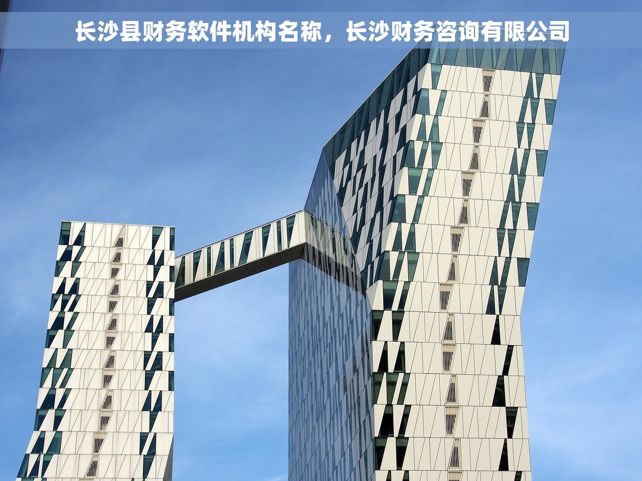 长沙县财务软件机构名称，长沙财务咨询有限公司