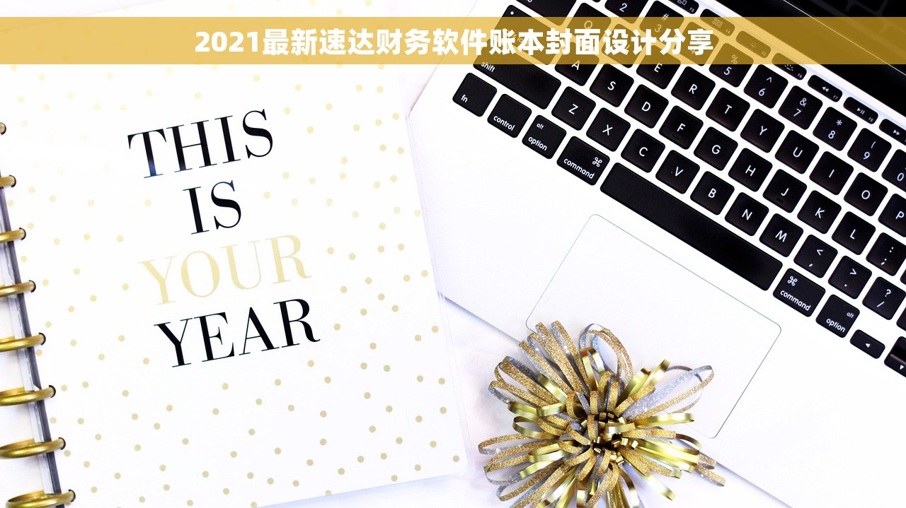 2021最新速达财务软件账本封面设计分享