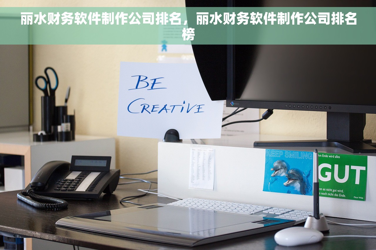丽水财务软件制作公司排名，丽水财务软件制作公司排名榜