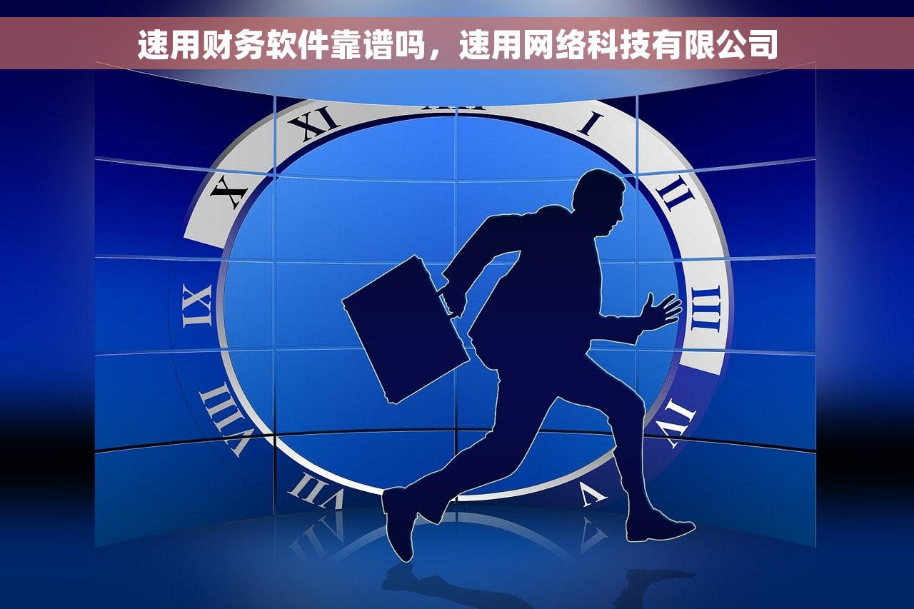速用财务软件靠谱吗，速用网络科技有限公司