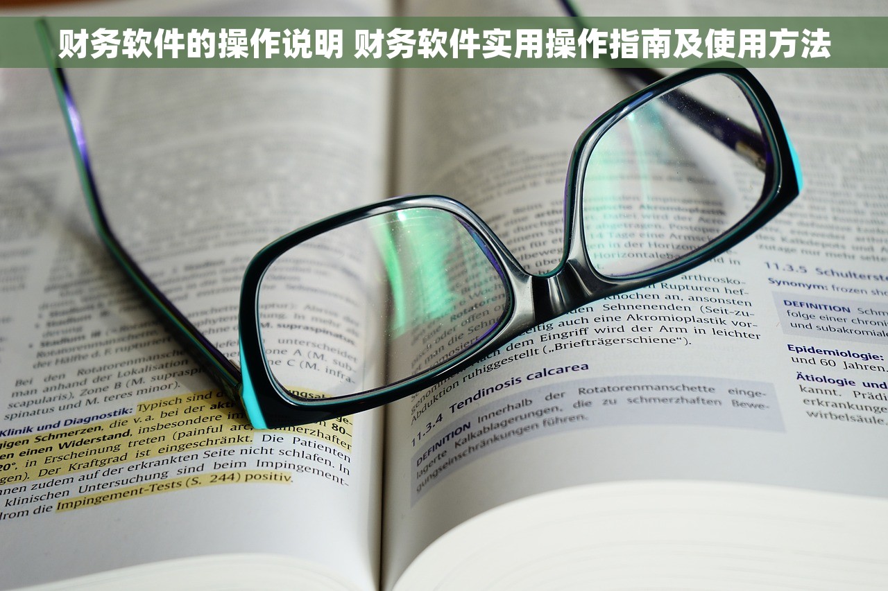 财务软件的操作说明 财务软件实用操作指南及使用方法