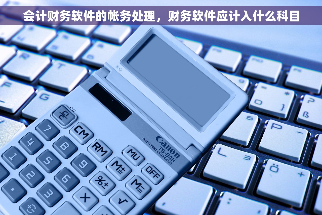 会计财务软件的帐务处理，财务软件应计入什么科目