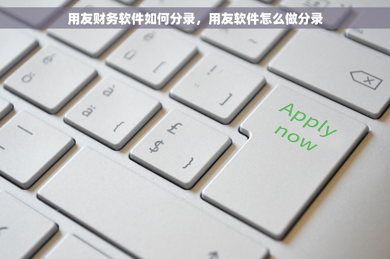 t3出纳通反年结：年度结算办理步骤和收支账目整理