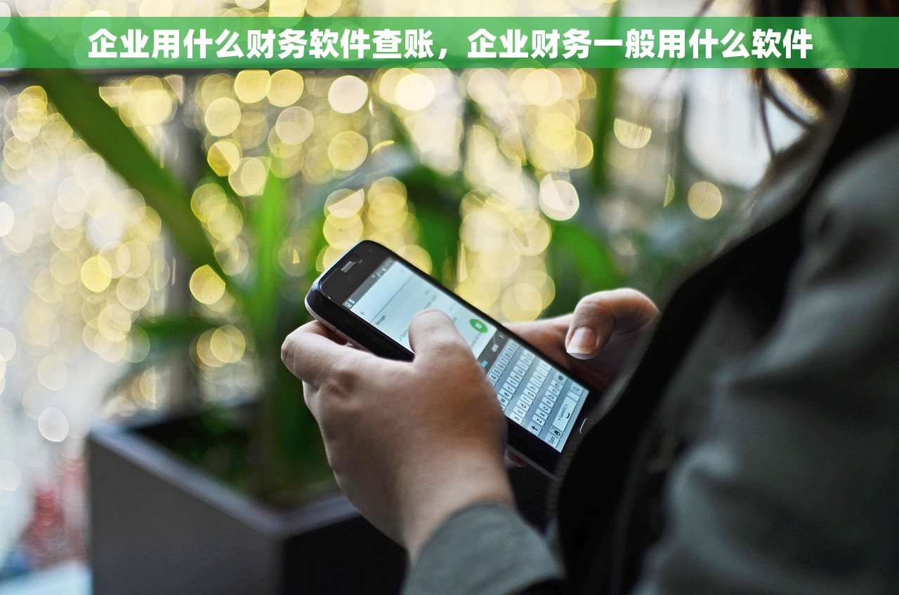 企业用什么财务软件查账，企业财务一般用什么软件