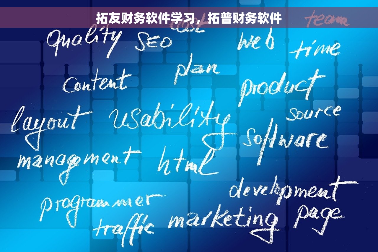 拓友财务软件学习，拓普财务软件