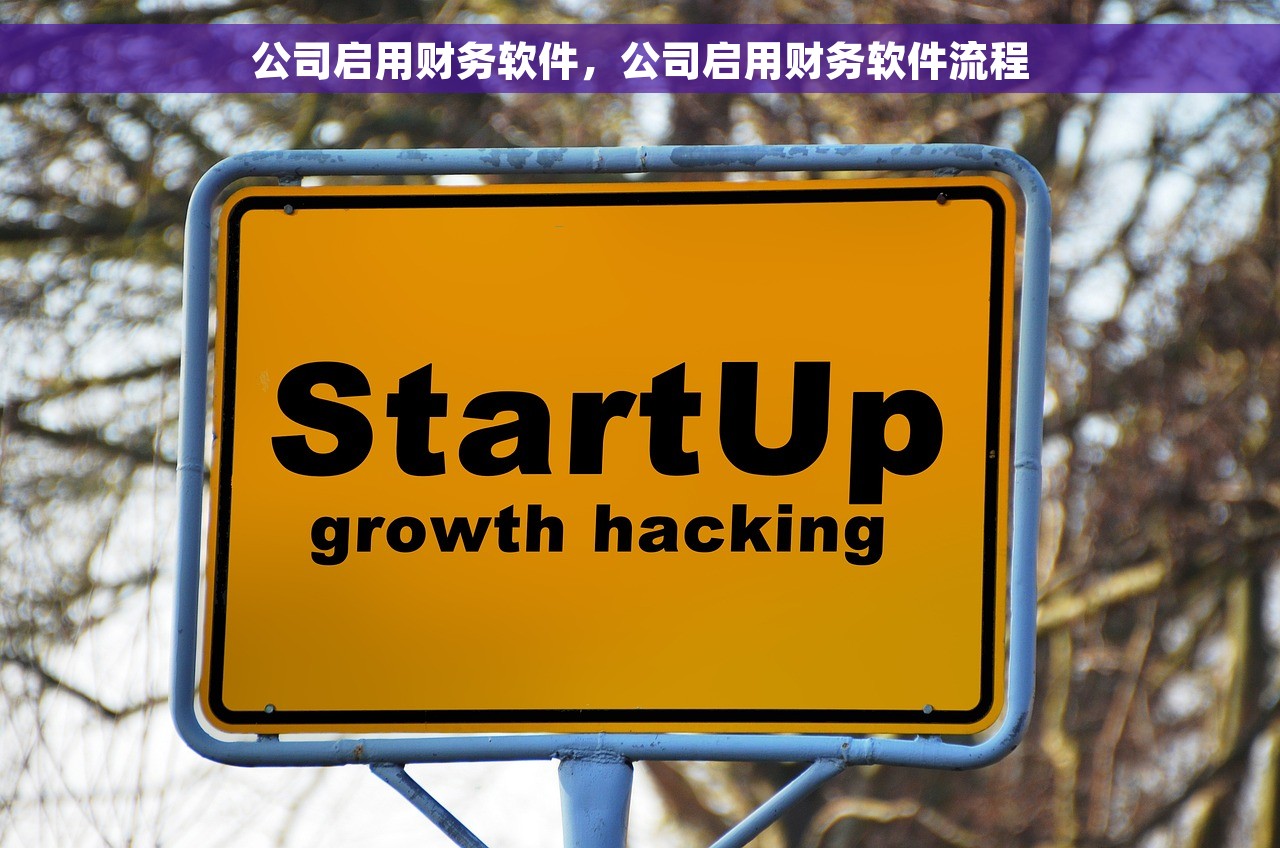公司启用财务软件，公司启用财务软件流程