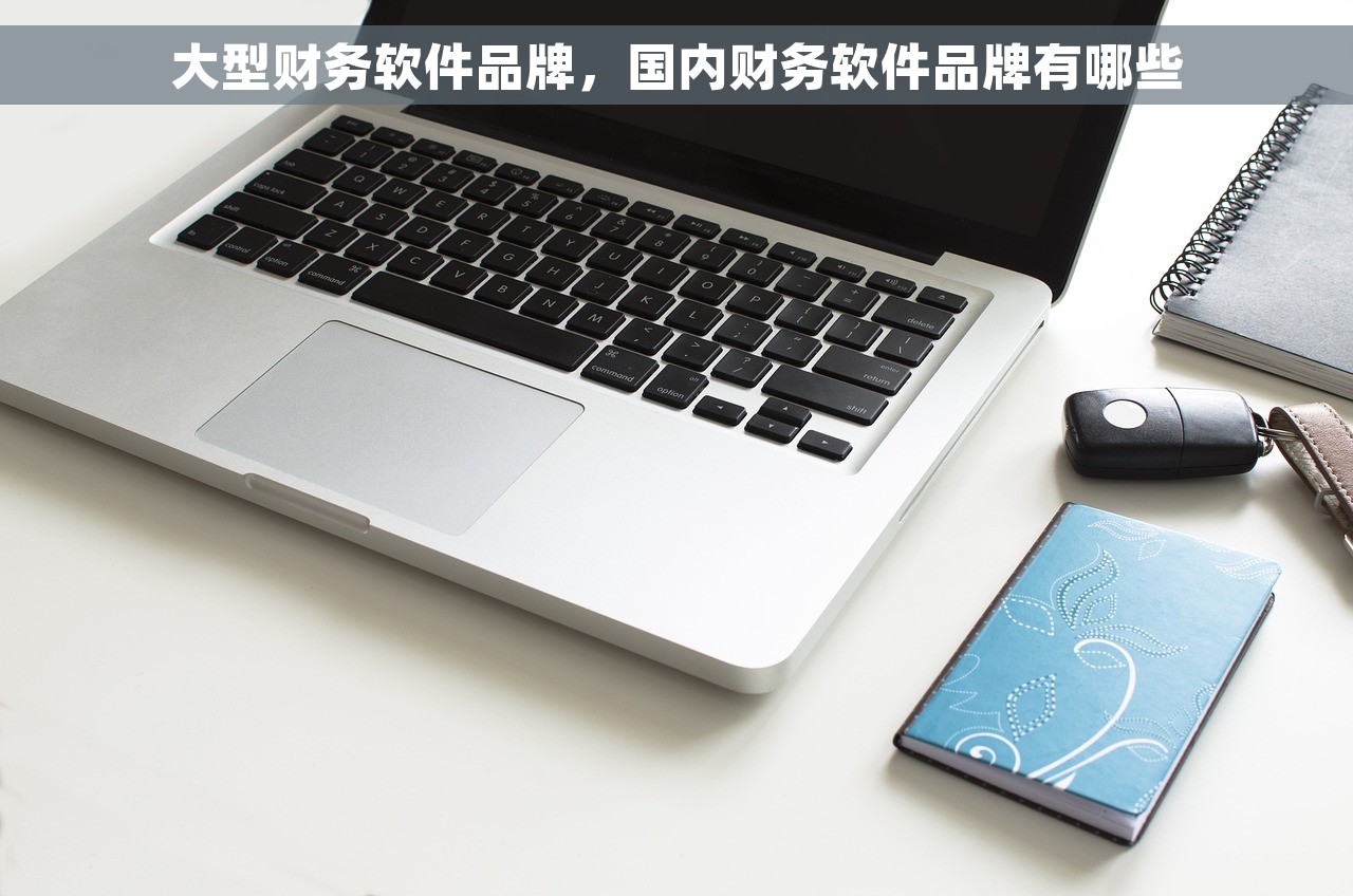 大型财务软件品牌，国内财务软件品牌有哪些