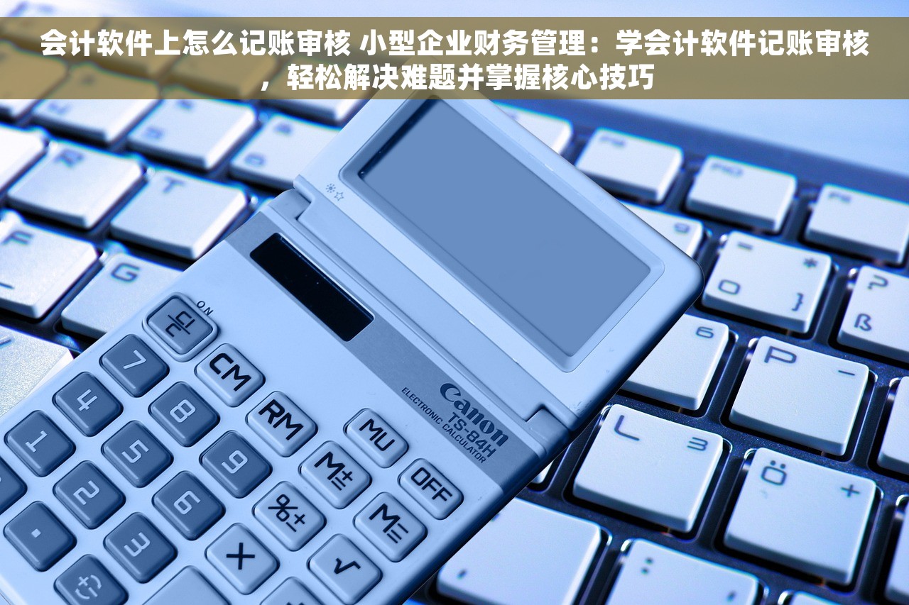 会计软件上怎么记账审核 小型企业财务管理：学会计软件记账审核，轻松解决难题并掌握核心技巧