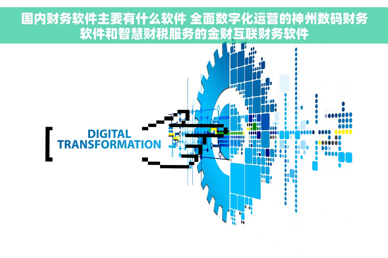 国内财务软件主要有什么软件 全面数字化运营的神州数码财务软件和智慧财税服务的金财互联财务软件