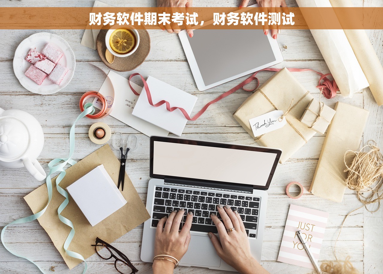 财务软件期末考试，财务软件测试