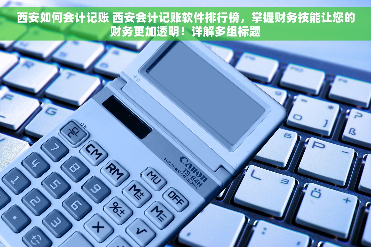 西安如何会计记账 西安会计记账软件排行榜，掌握财务技能让您的财务更加透明！详解多组标题