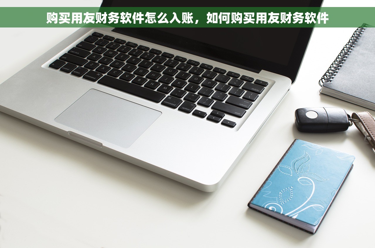 金蝶元出纳怎么操作 金蝶元出纳操作指南：5个步骤快速掌握，9个注意事项避免误区