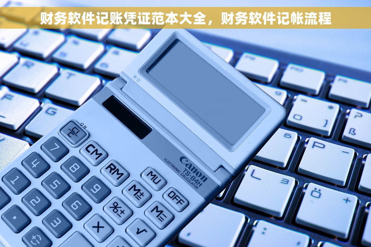财务软件记账凭证范本大全，财务软件记帐流程