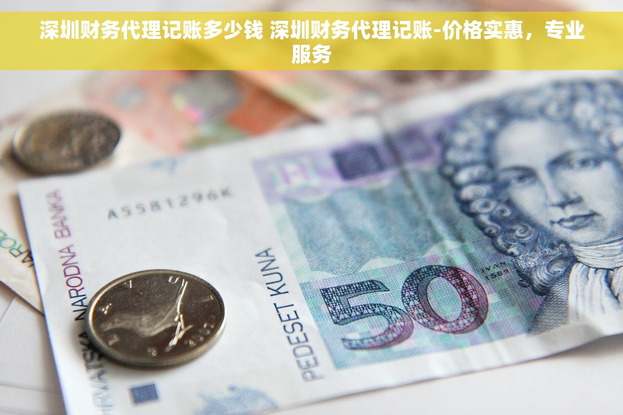 深圳财务代理记账多少钱 深圳财务代理记账-价格实惠，专业服务