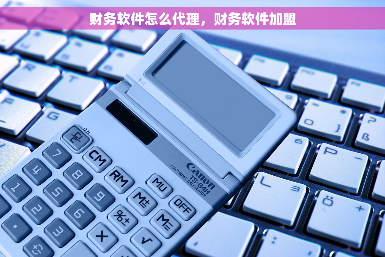 财务软件excel模板导入凭证，财务软件excel模板导入凭证怎么弄