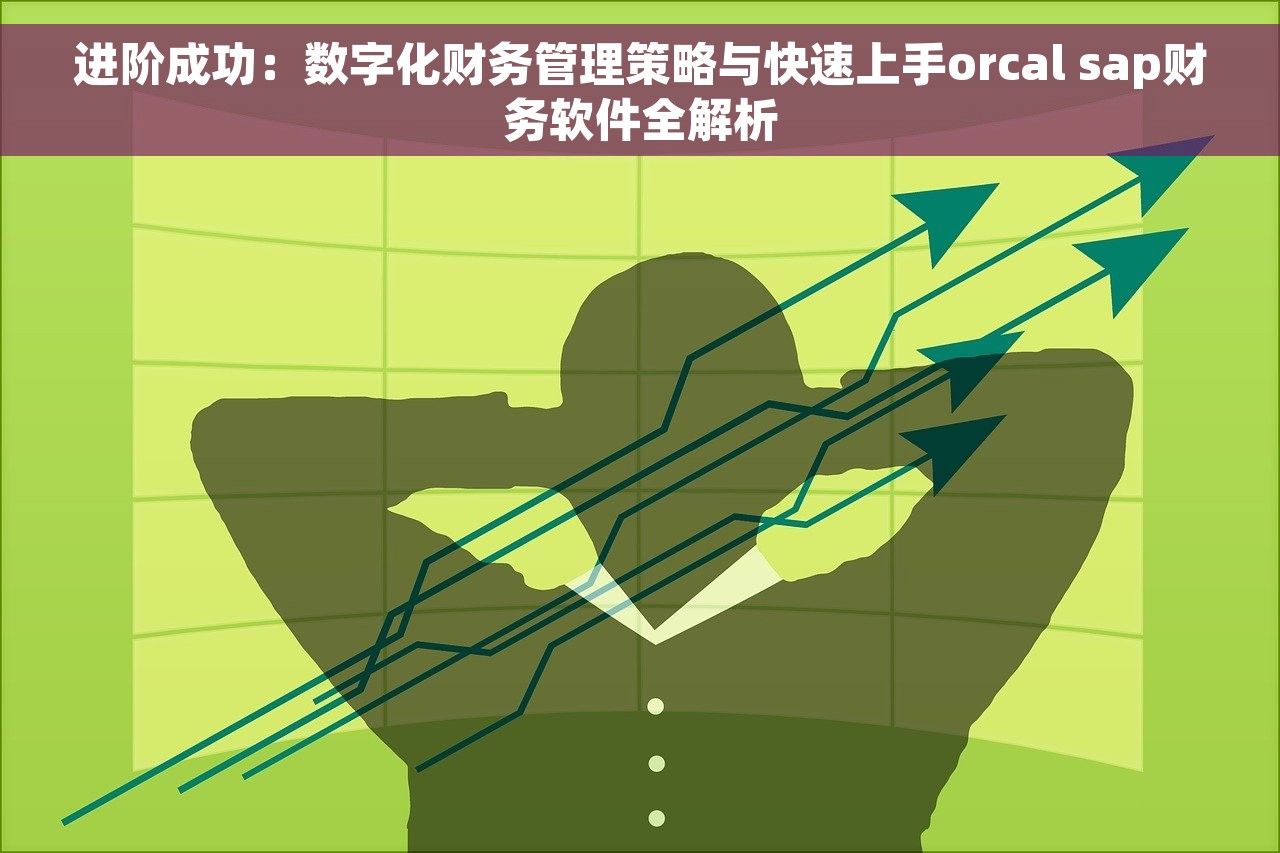 进阶成功：数字化财务管理策略与快速上手orcal sap财务软件全解析