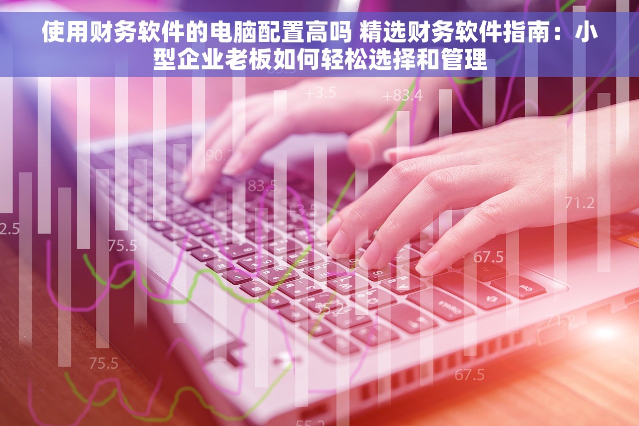 使用财务软件的电脑配置高吗 精选财务软件指南：小型企业老板如何轻松选择和管理