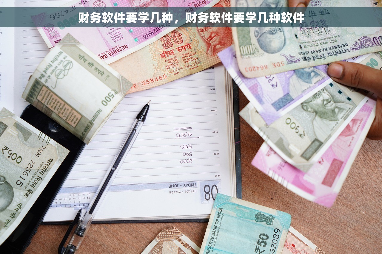 财务软件要学几种，财务软件要学几种软件