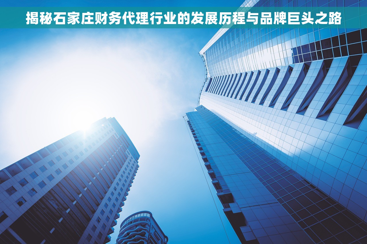揭秘石家庄财务代理行业的发展历程与品牌巨头之路